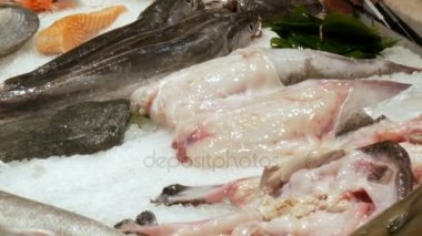 Taze farklı balık midye karides kabuklular buz La Boqueria, yararlı deniz ürünleri, Balık pazarı ile counter