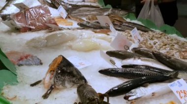 Üstünde belgili tanımlık sayaç buzda balık pazarının farklı taze balık geniş yelpazesi. Deniz ürünleri Freshmarket üzerinde