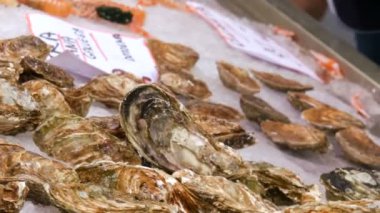 Counter İspanya'da Pazar taze istiridye geniş yelpazesi ve buzda balık, diğer deniz ürünleri