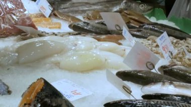 Taze farklı balık midye karides kabuklular buz ile La Boqueria Balık pazarı counter