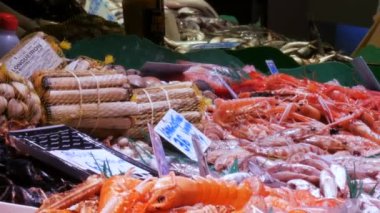 Deniz Ürünleri ıstakoz kalamar karides kerevit istiridye Midye kabukları La Boqueria İspanya, Barcelona buzda balık pazarında kasık biti.