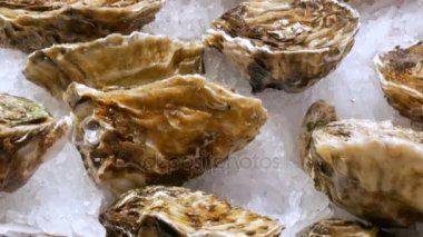 Taze istiridye ve diğer deniz ürünleri buzda balık pazarı sayaç İspanya geniş yelpazesi yakın çekim