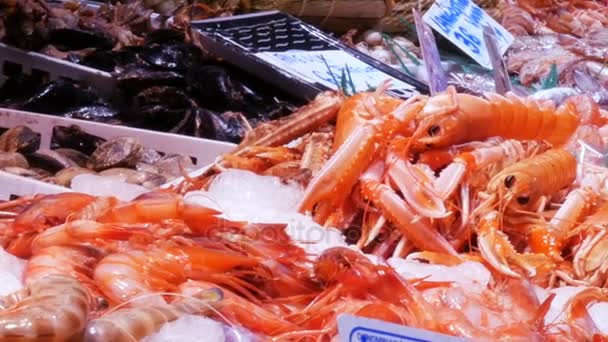 Mariscos moviendo camarones grandes langostas y cangrejos en el mercado de mostradores, Mariscos en el mercado La Boquería en Barcelona — Vídeo de stock