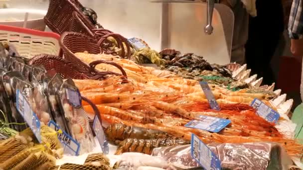 Cangrejos de mar langosta calamar camarones cangrejos de río ostra mejillones conchas marinas en el mercado de pescado La Boqueria España, Barcelona — Vídeo de stock