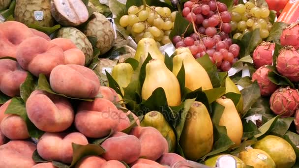 22. září 2017 - Barcelona, Španělsko, Mercator de la Boqueria potravinový trh: velký pult s tropické ovoce, mučenka, mango, kiwi, banány — Stock video