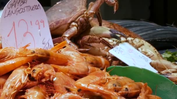 Comptoir avec des moules fraîches différentes crevettes crustacés sur la glace le marché aux poissons de La Boqueria, Fruits de mer utiles — Video