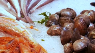 Deniz Ürünleri ıstakoz kalamar karides kerevit istiridye Midye kabukları La Boqueria İspanya, Barcelona buzda balık pazarında kasık biti.