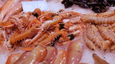 Taze farklı balık midye karides kabuklular buz La Boqueria, yararlı deniz ürünleri, Balık pazarı ile counter