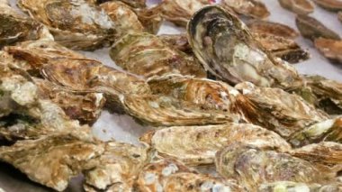 Counter İspanya'da Pazar taze istiridye geniş yelpazesi ve buzda balık, diğer deniz ürünleri