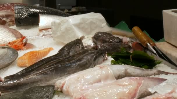 Contador com diferentes peixes frescos mexilhões camarões crustáceos no gelo o mercado de peixe de La Boqueria, frutos do mar úteis — Vídeo de Stock