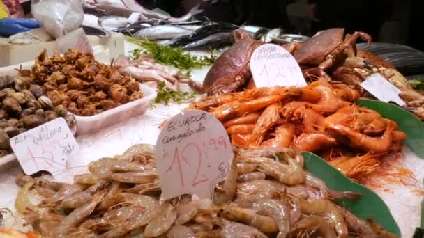 Cangrejos de mar langosta calamar camarones cangrejos de río ostra mejillones conchas marinas en el mercado de pescado La Boquería España — Vídeo de stock