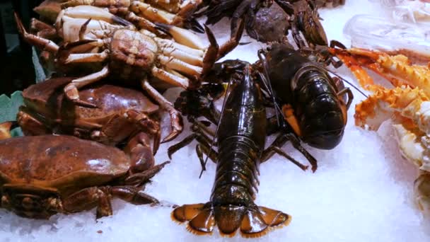 Морепродукти креветки свіжоморожені великий омари і краби на позабіржовому ринку, морепродукти на ринку ла-Бокерія в Барселоні — стокове відео