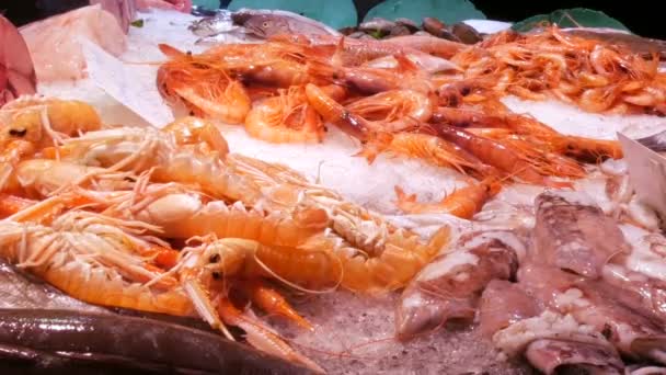 Banco con diverse cozze di pesce fresche gamberetti crostacei sul ghiaccio il mercato del pesce di La Boqueria, frutti di mare utili — Video Stock