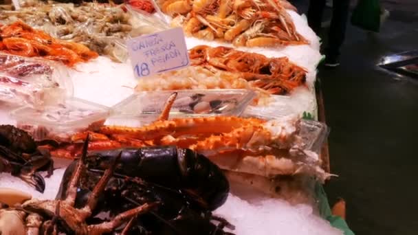 Cangrejos de mar langosta calamar camarones cangrejos de río ostra mejillones conchas marinas en el mercado de pescado sobre hielo La Boqueria España, Barcelona — Vídeos de Stock