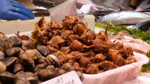 Banco con diverse cozze di pesce fresche gamberetti crostacei sul ghiaccio il mercato del pesce di La Boqueria — Video Stock