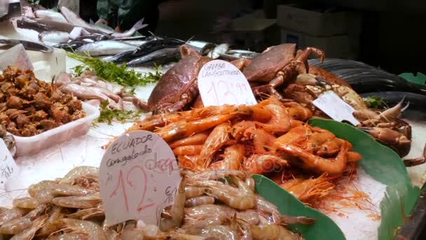 Cangrejos de mar langosta calamar camarones cangrejos de río ostra mejillones conchas marinas en el mercado de pescado La Boquería España — Vídeos de Stock