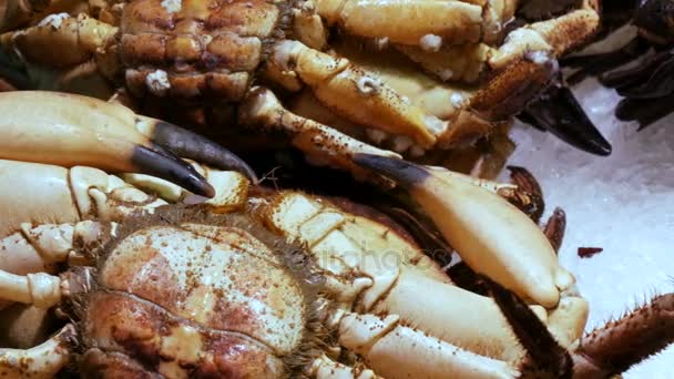 Schaal-en schelpdieren bewegen grote kreeften garnalen en krabben over the counter markt, schaal-en schelpdieren in de markt La Boqueria in Barcelona — Stockvideo