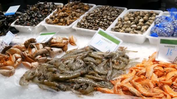 Θαλασσινά καβούρια η αστακό καλαμάρια γαρίδες καραβίδες στρείδια μύδια κοχύλια στην ψαραγορά La Boqueria Ισπανία, Βαρκελώνη — Αρχείο Βίντεο