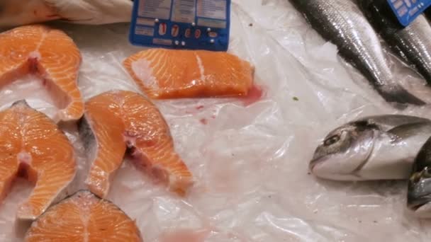 Gran selección de diferentes pescados frescos en el mostrador del mercado de pescado en el hielo. Mariscos en el mercado fresco, Filetes de pescado rojo — Vídeos de Stock