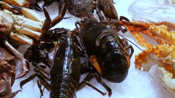 海鲜移动虾大龙虾和蟹在柜台市场, 海鲜在市场 La Boqueria 在巴塞罗那 — 图库视频影像