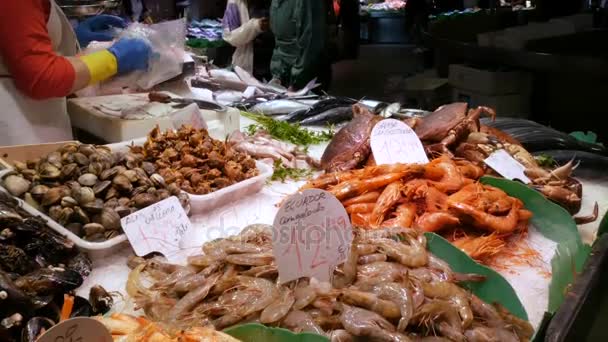 Seafood crabs lobster squid shrimps crayfish oyster mussels seashells in fish market La Boqueria Spain, Barcelona — Stock Video