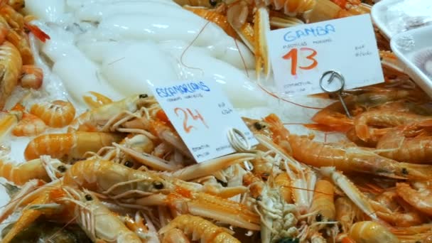 Deniz Ürünleri ıstakoz kalamar karides kerevit istiridye Midye kabukları La Boqueria İspanya, Barcelona buzda balık pazarında kasık biti. — Stok video