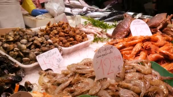 Zeevruchten krabben kreeft squid garnalen rivierkreeft oester mosselen schelpen in vismarkt La Boqueria Spanje — Stockvideo