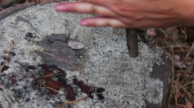 Kadın bir günlük üzerinde tahta bir sopa sürtünme kuvveti yardımıyla orman yangında doğurmak için çalışır