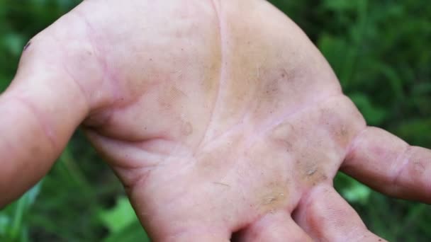 Male calloused hands of person living in the village and accustomed to heavy physical labor. Lodons to the top — Stock Video