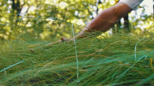 Muž se dotýká svalnaté ruce na zelené trávě, pohled na plochu — Stock video