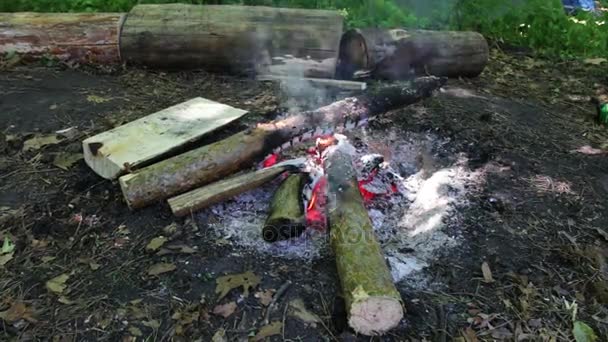 Large burning logs burn and smolder in fire. Bonfire outdoors on day — Stock Video