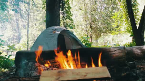 Dzienniki i ogień palić w tle namiot turystyczny — Wideo stockowe