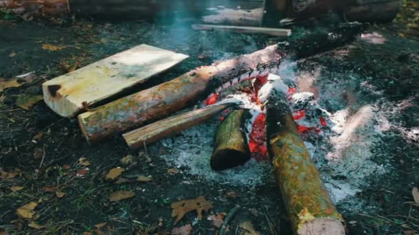 Vreugdevuur buiten bij daglicht, grote branden. Vreugdevuur buitenshuis op dag — Stockvideo