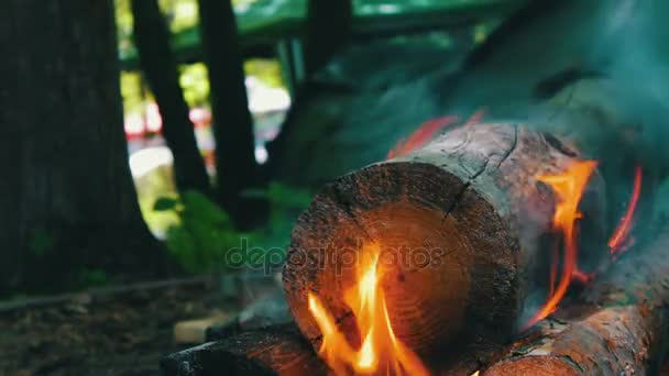 Blick auf die brennenden Baumstämme, die die Flammen umhüllen. Lagerfeuer in der Natur, Tourismus und Überleben — Stockvideo