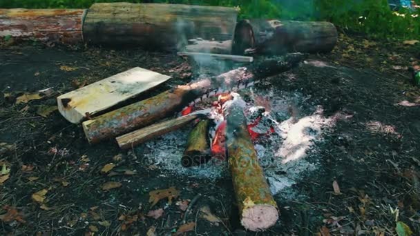 Huge burning firewood or logs lie on the green and burn in the flames of fire in open air — Stock Video