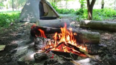 Turist çadır arka planda yanmak yanan bir ateş ve günlükleri