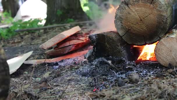 Fogata al aire libre en la luz del día, quemadura grande. fogata al aire libre en el día — Vídeos de Stock