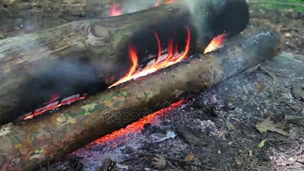 Enorme brennende ved eller stokker ligger på det grønne og brenner i flammer i det fri – stockvideo