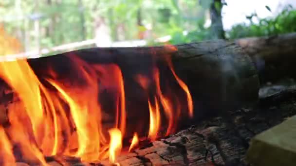 Foc de tabără în aer liber la lumina zilei, arsură.Focul de tabără în aer liber în timpul zilei — Videoclip de stoc
