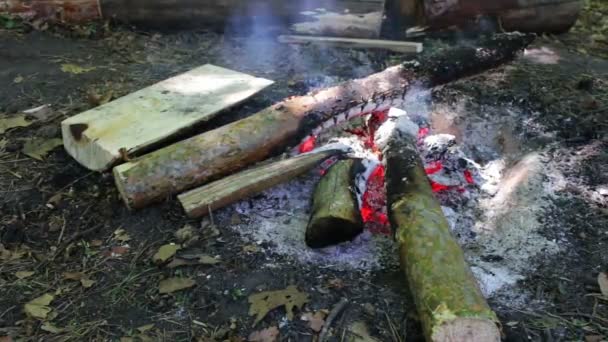 Grandes troncos ardiendo arden y arden en fuego. Hoguera al aire libre en el día — Vídeos de Stock
