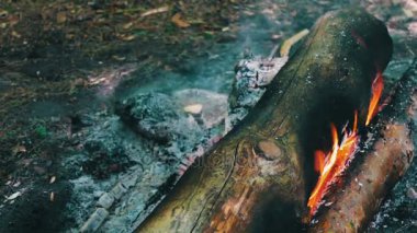 Yangın alevleri örtmek yanan büyük günlükleri bir görüntü. Şenlik ateşi doğa, turizm ve hayatta kalma