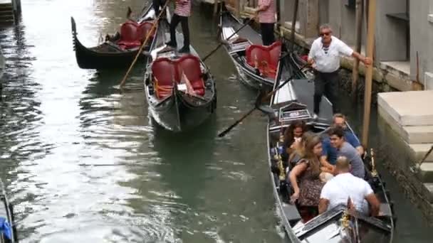 Venetië (Italië), 7 September 2017: één van een pittoreske Venetiaanse grachten waarop gondels en gondeliers uitgevoerd warmgewalste toeristen — Stockvideo