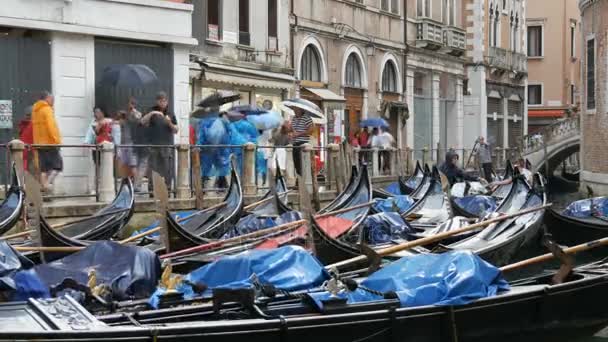 Venedig, Italien, 7. September 2017: Venezianische Gondeln stehen auf Kanal im Regen, schöne schwarze Gondeln stehen und schaukeln auf den Wellen — Stockvideo
