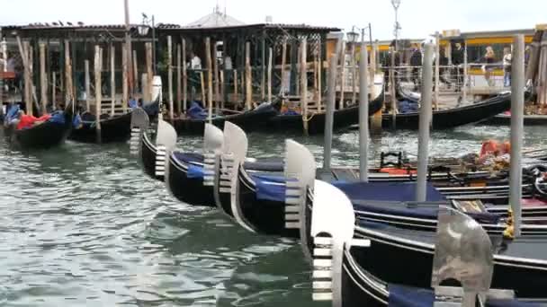 VENECIA, ITALIA, 7 DE SEPTIEMBRE DE 2017: Muchas hermosas góndolas que están en fila en el gran canal, en el que se sientan los gondoleros y más allá de la multitud de turistas — Vídeos de Stock