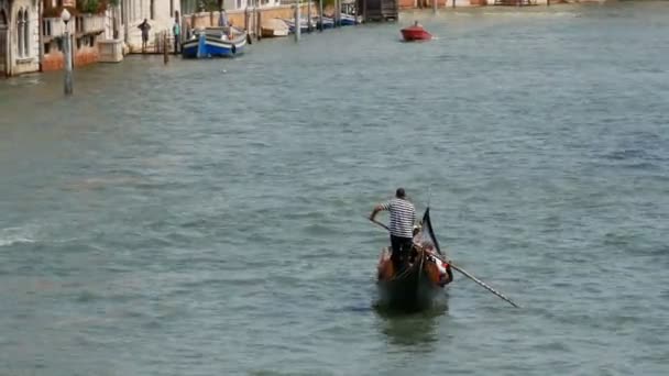 VENICE, ITALY, SEPTEMBER 7, 2017: gondolier rolls tourists on gondola on the famous in the world Venetian Grand Canal — Stock Video