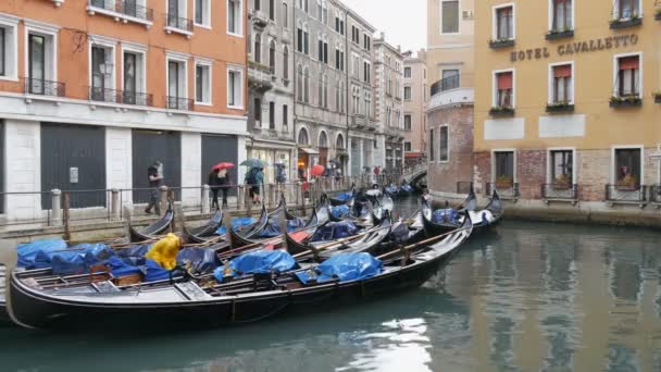 Venedig, Italien, 7. September 2017: Venezianische Gondeln stehen auf Kanal im Regen, schöne schwarze Gondeln stehen und schaukeln auf den Wellen — Stockvideo