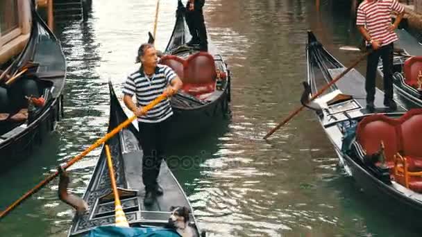 VENECIA, ITALIA, 7 DE SEPTIEMBRE DE 2017: Hermosas góndolas y gondoleros con turistas en ellos conducen a través del antiguo canal veneciano — Vídeos de Stock