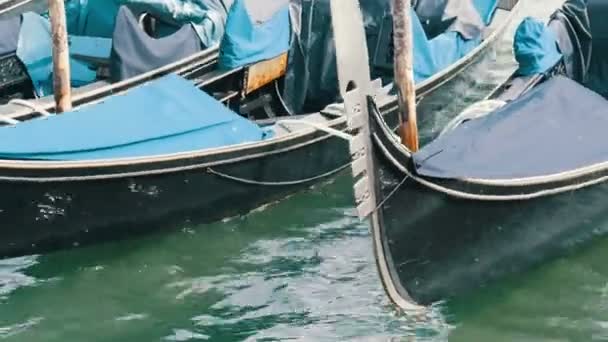 VENICE, ITALY, SEPTEMBER 7, 2017: Venetian gondola covered in blue cloth while docking on the canal in Venice Italy, Noses moored gondolas neatly standing in a row — Stock Video