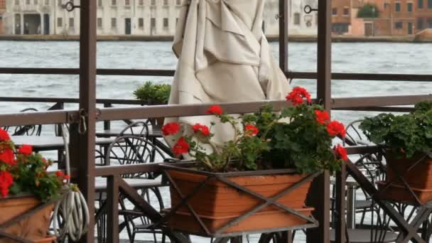 Красиві червоні квіти в горщиках на Гранд-канал набережна у Венеції у фоновому режимі на човні, проходячи через серед туристів — стокове відео