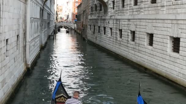威尼斯, 意大利, 2017年9月7日: 大运河, 观 world-famous 威尼斯运河, 船和游客的游船 — 图库视频影像